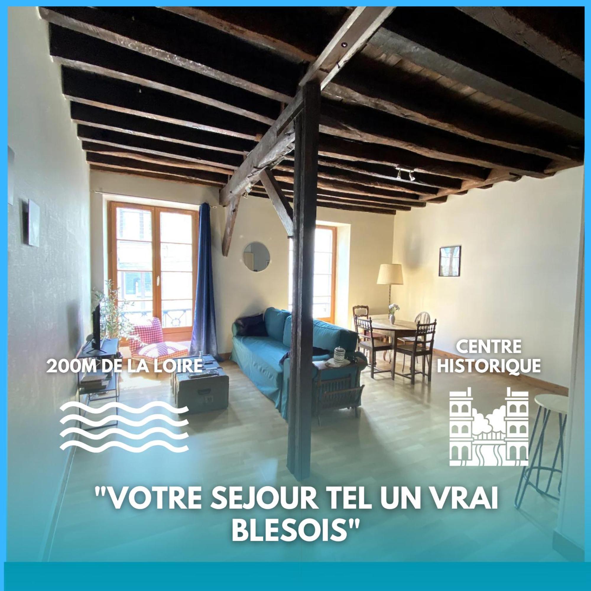 L'Escapade Blesoise - Hyper Centre Apartment Blois Bagian luar foto